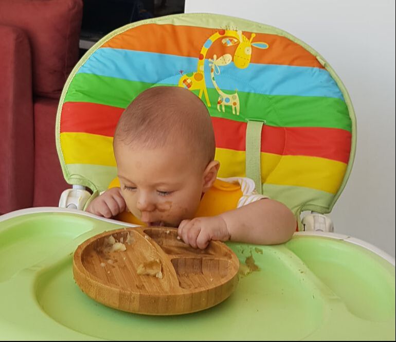 Baby trying to eat his plate!